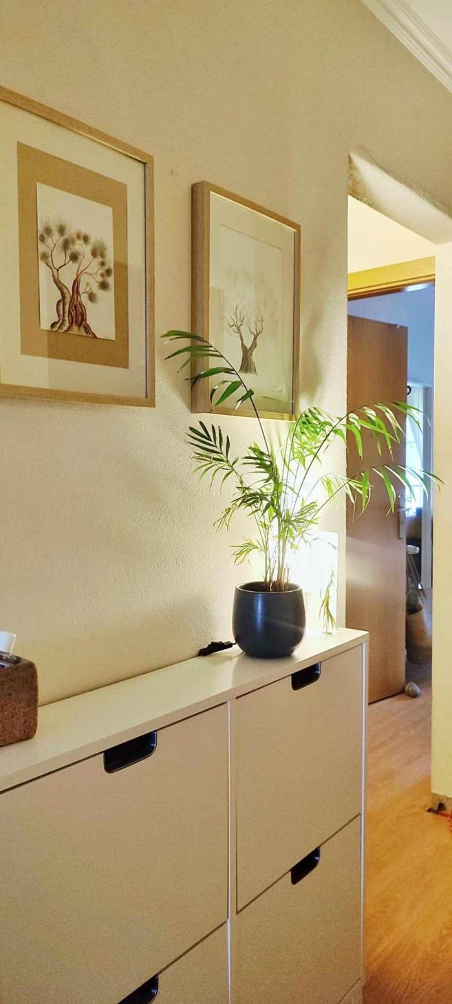 Apartmento Soma ألخيزور المظهر الخارجي الصورة